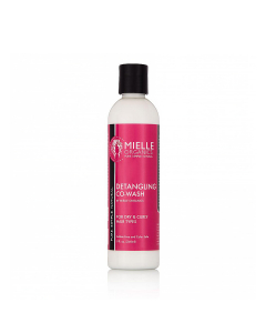Detangling Co Wash